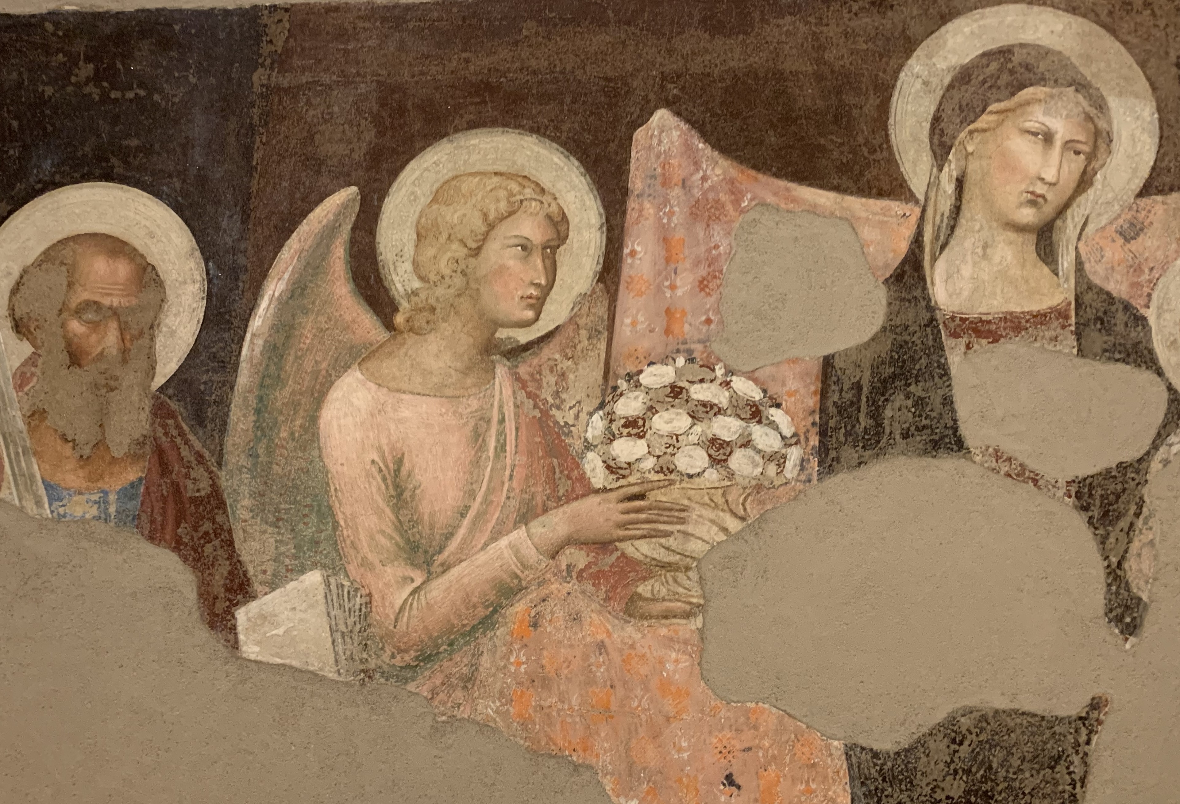Siena